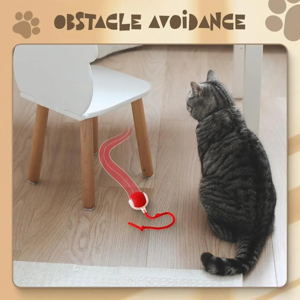 Automatic Rolling Pet Balls Set