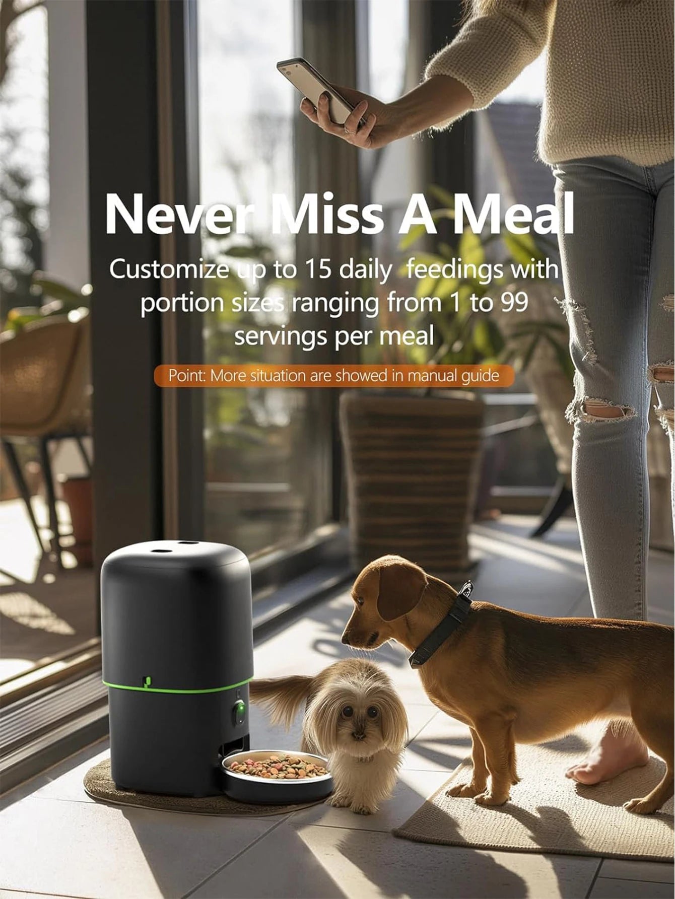 Smart Automatic Cat Feeder