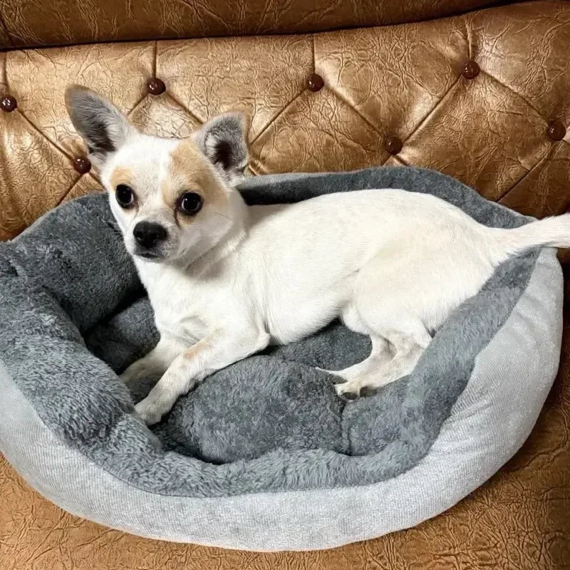 Soft Warm Dog & Cat Bed