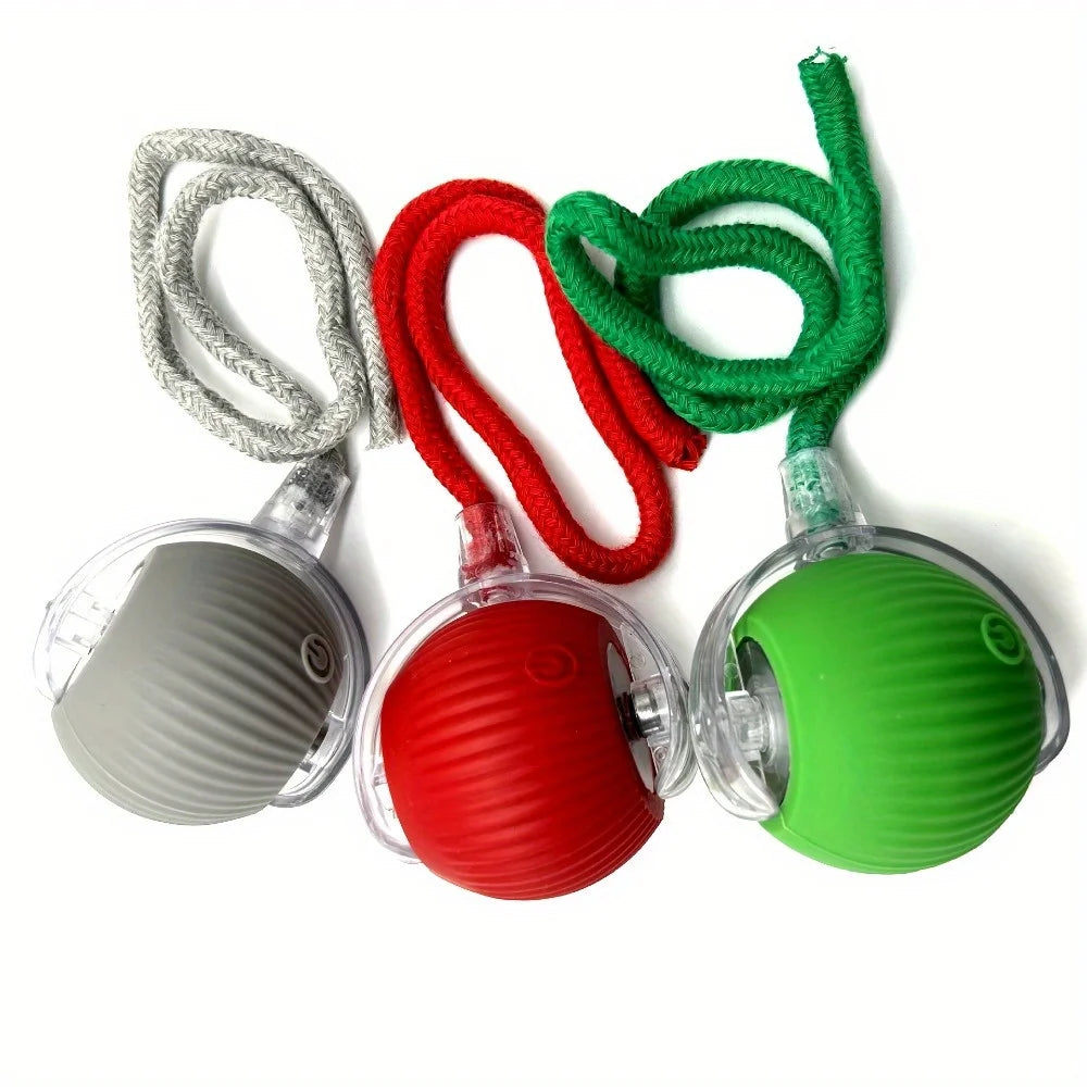 Automatic Rolling Pet Balls Set