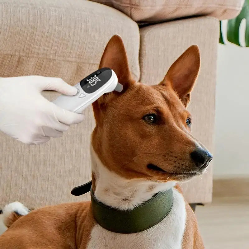 Pet Digital Ear Thermometer